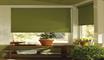 Roller Blinds - arena-acacia-olive